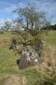 Click for full size image of Girdle Stanes (PID:131475) Girdle Stanes