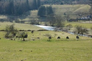 Click for full size image of Girdle Stanes (PID:131474) Girdle Stanes