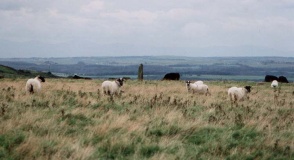 Standing Stone of Bagbie (2) - PID:1846