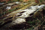 Click for full size image of Broughton Mains West Panel (PID:1931) Broughton Mains West Panel