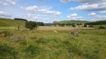 Click for full size image of Girdle Stanes (PID:230782) Girdle Stanes
