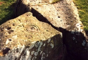 Drumtroddan Cup and Ring Markings submitted by rockartuk