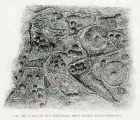 Click for full size image of High Banks Farm (PID:93758) High Banks Farm
