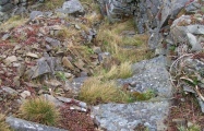 Click for full size image of Stairhaven Broch (PID:55981) Stairhaven Broch