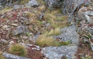 Stairhaven Broch