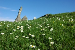 Cairnholy 2 - PID:43390