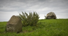 Click for full size image of Wren's Egg (PID:130018) Wren's Egg