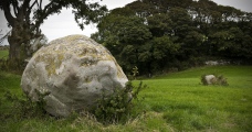 Click for full size image of Wren's Egg (PID:130019) Wren's Egg