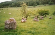 Click for full size image of Girdle Stanes (PID:129435) Girdle Stanes