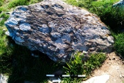 Click for full size image of Cairnholy 2 (Rock Art) (PID:205779) Cairnholy 2 (Rock Art)