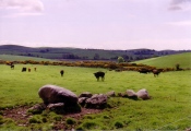 Click for full size image of Torhousekie Stones East (PID:15542) Torhousekie Stones East
