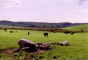 Torhousekie Stones East