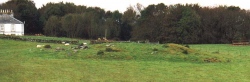 Click for full size image of Whitecairn (Boreland) (PID:2214) Whitecairn (Boreland)