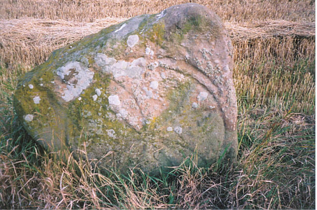 Skeith Stone