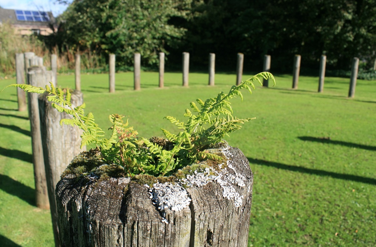 Click for full size image of Balfarg Riding School mortuary enclosure and henge (PID:186118) Balfarg Riding School mortuary enclosure and henge