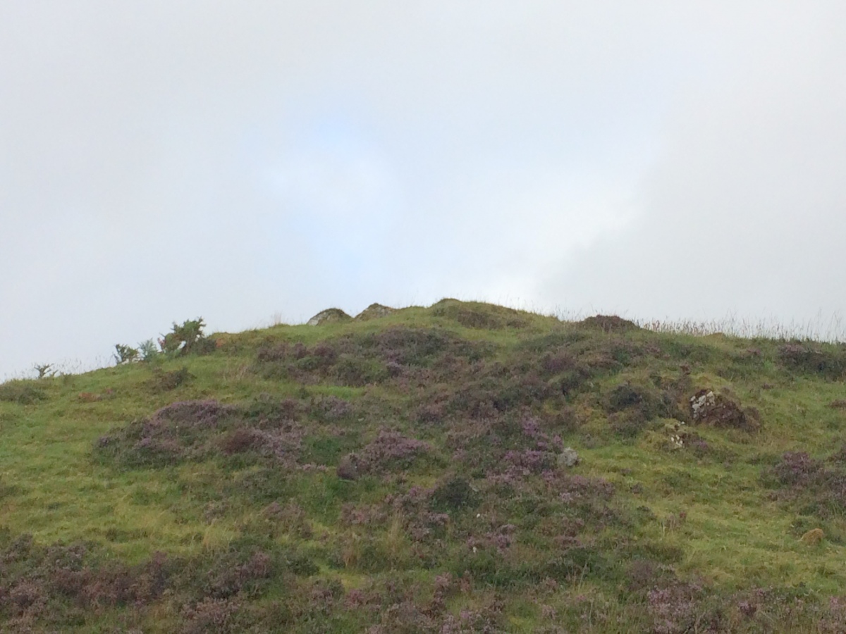 Click for full size image of Glacbain (PID:231714) Glacbain