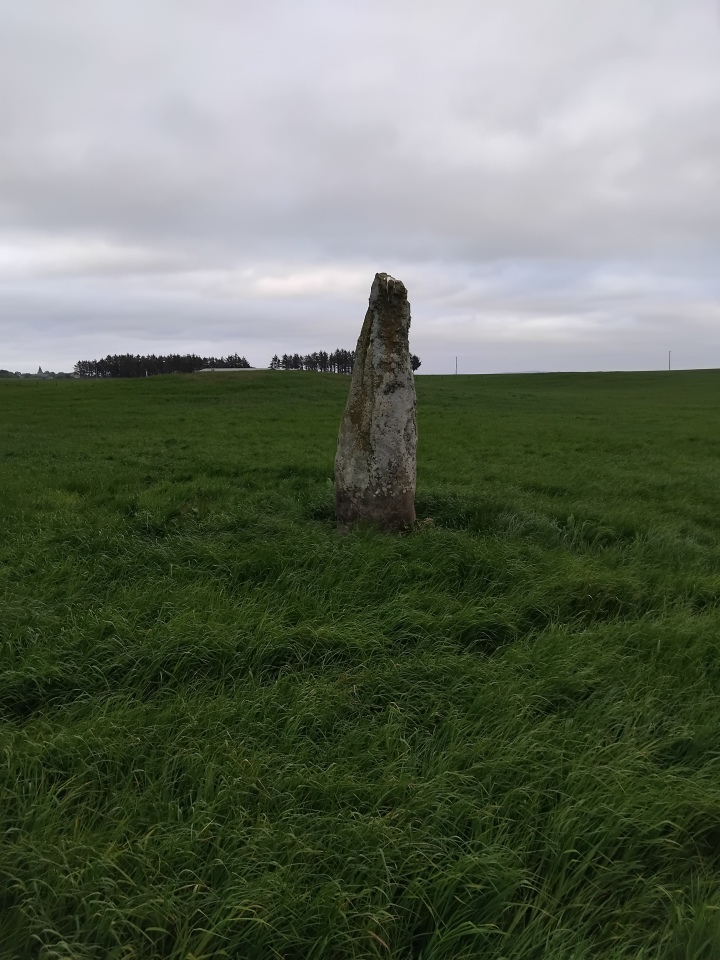 Drumdivan Menhir (PID:290836) Drumdivan Menhir