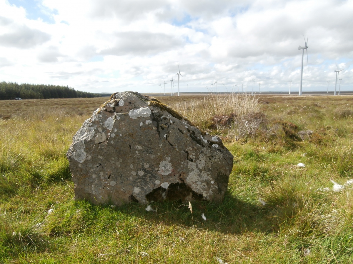 Click for full size image of Lower Camster Stones (PID:288556) Lower Camster Stones