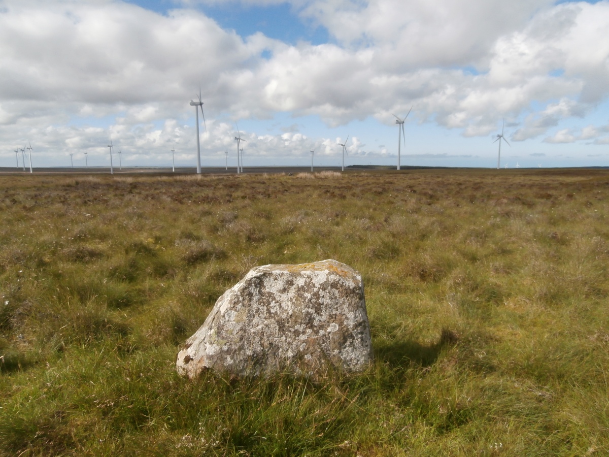 Click for full size image of Lower Camster Stones (PID:288557) Lower Camster Stones