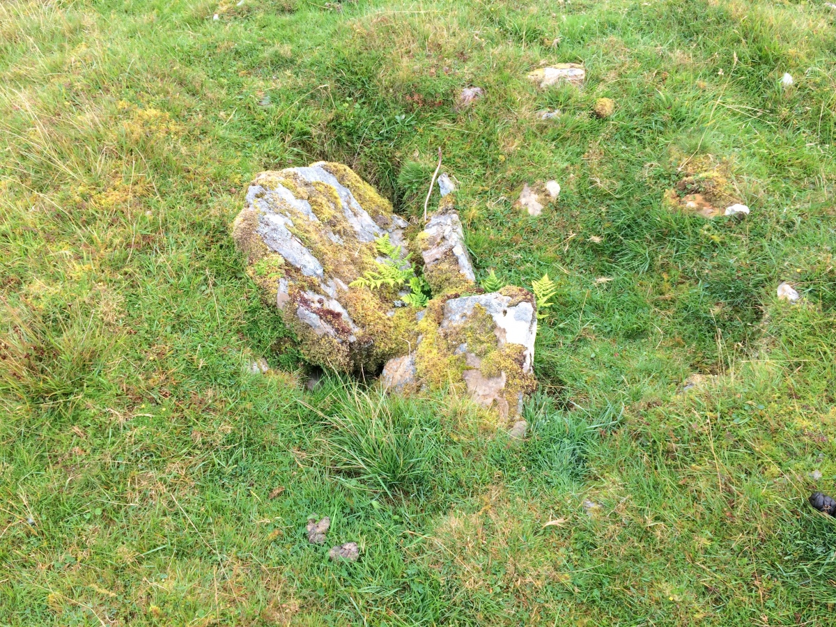 Click for full size image of Glacbain (PID:231717) Glacbain