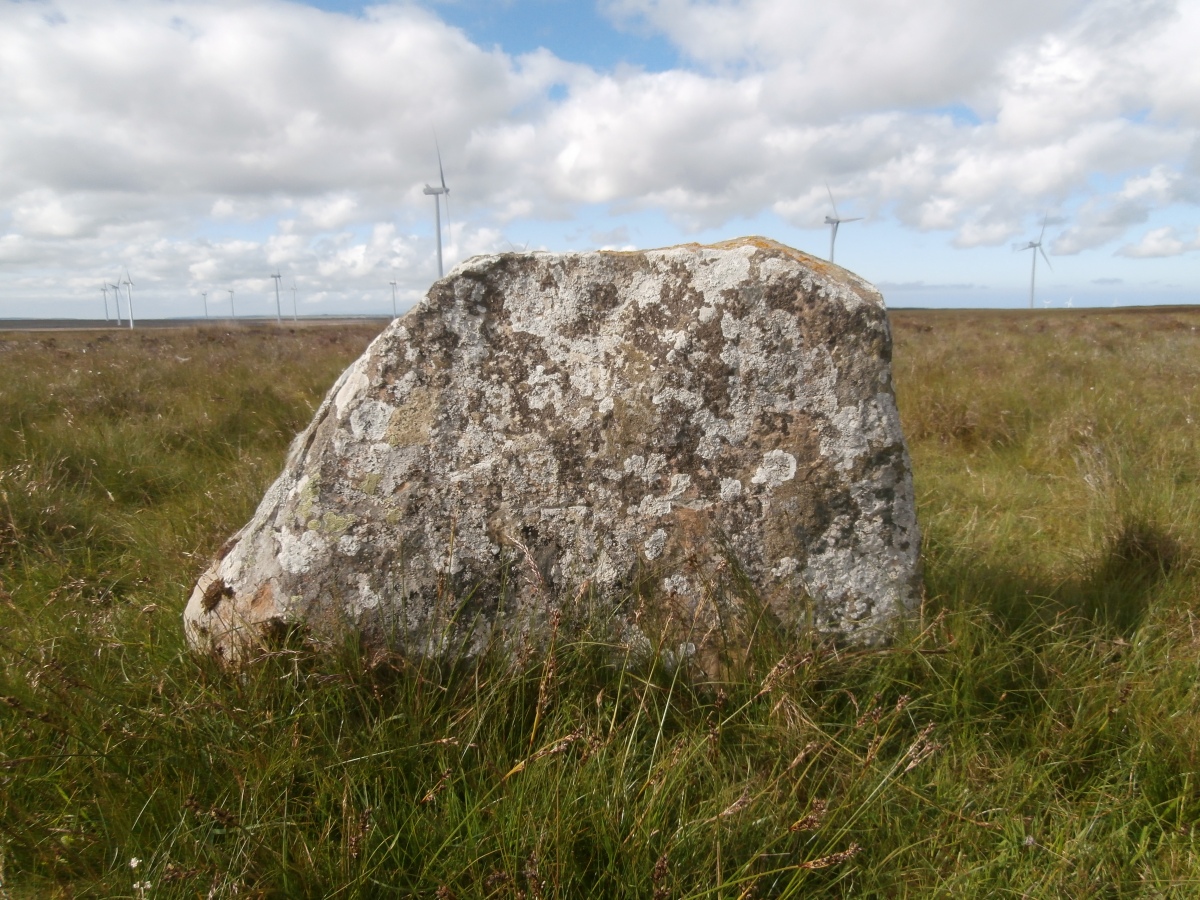 Click for full size image of Lower Camster Stones (PID:288558) Lower Camster Stones