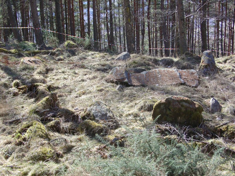 Brahan Wood (PID:105201) Brahan Wood
