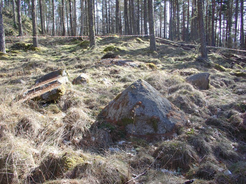 Click for full size image of Brahan Wood (PID:105203) Brahan Wood