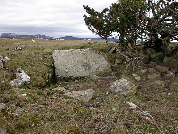 Click for full size image of Essich Moor (PID:5660) Essich Moor