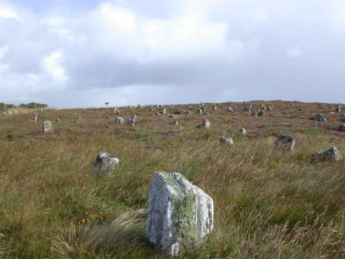 Click for full size image of Hill o'Many Stanes (PID:690) Hill o'Many Stanes