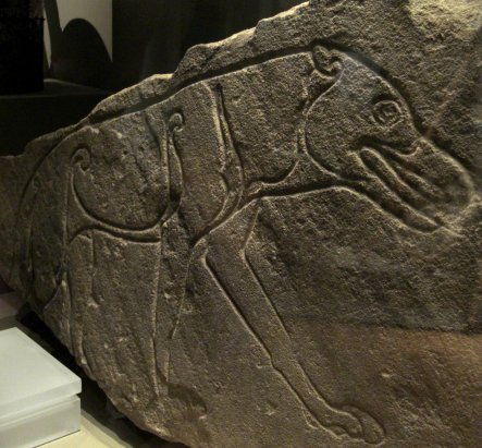 The Ardross Wolf Class I Pictish Stone