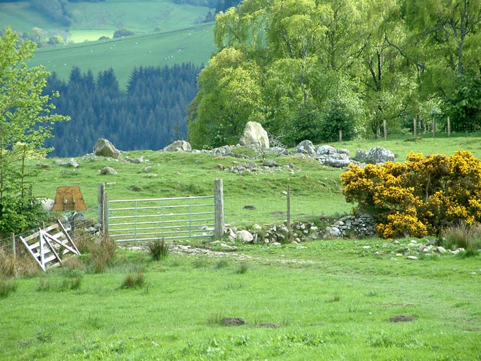 Click for full size image of Carn Daley (PID:29985) Carn Daley