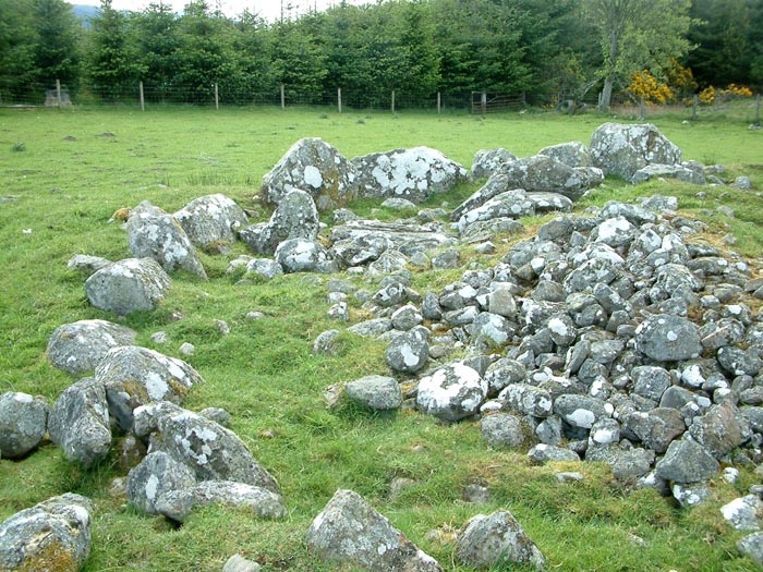 Carn Daley (PID:29986) Carn Daley