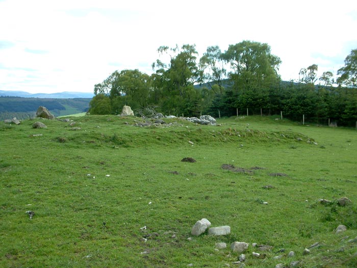 Click for full size image of Carn Daley (PID:29988) Carn Daley