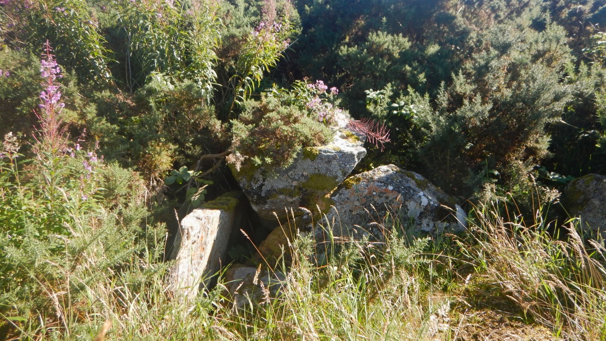 Woodhead Round Chambered Cairn (PID:263497) Woodhead Round Chambered Cairn