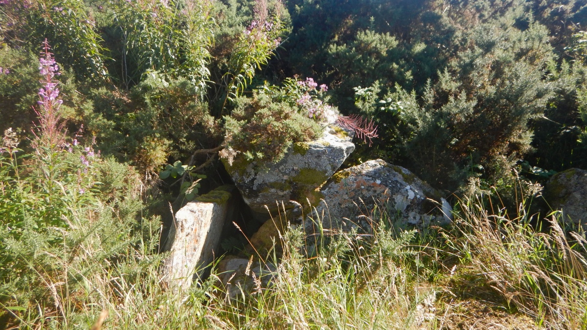 Woodhead Round Chambered Cairn