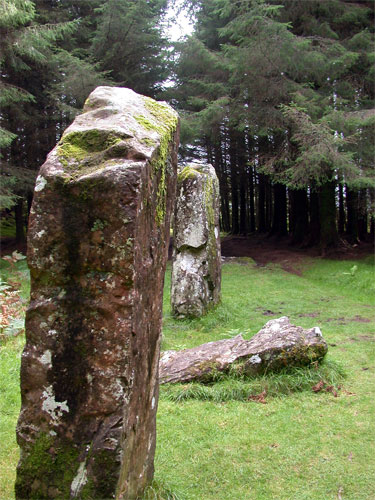 Dervaig Stone Row
Looking down the alignment, three of the stones have fallen, two remain upright.
