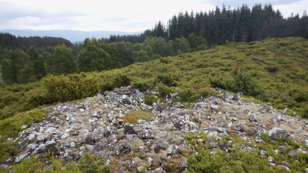 Click for full size image of Dunachtonmore Cairn(s) (PID:274215) Dunachtonmore Cairn(s)