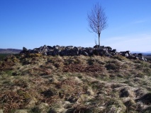 Broch in Dalchork Wood - PID:56033