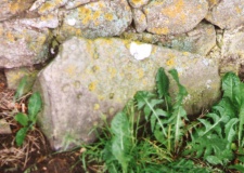Cup Marked Stone - PID:78494