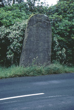 Click for full size image of Stronach Standing Stone (PID:1584) Stronach Standing Stone