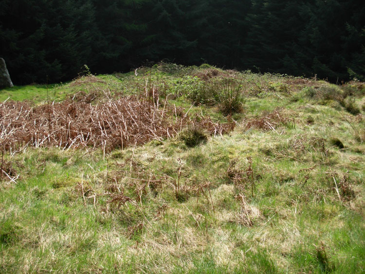 Dunan Beag (PID:30238) Dunan Beag