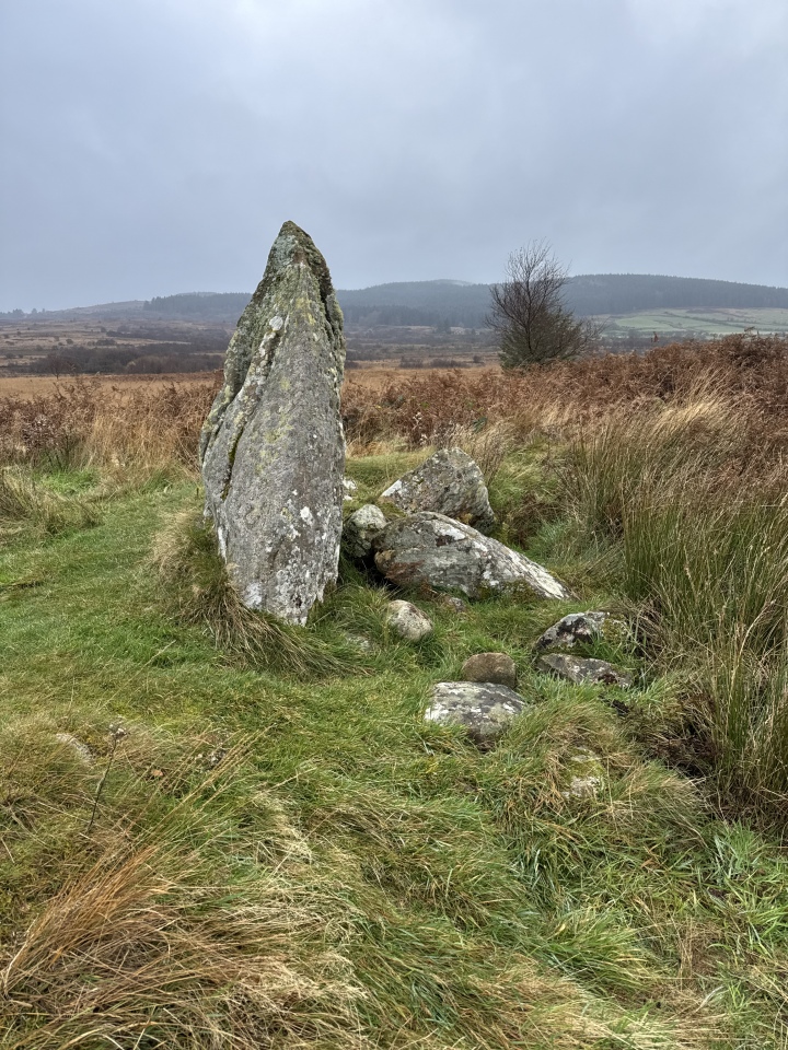 Click for full size image of Tormore 2 (PID:280761) Tormore 2
