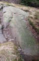 Click for full size image of Stronach Ridge Rock Art (PID:284236) Stronach Ridge Rock Art
