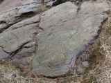 Click for full size image of Stronach Ridge Rock Art (PID:284237) Stronach Ridge Rock Art