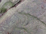 Click for full size image of Stronach Ridge Rock Art (PID:284230) Stronach Ridge Rock Art