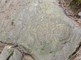 Click for full size image of Stronach Ridge Rock Art (PID:284238) Stronach Ridge Rock Art
