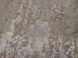 Click for full size image of Stronach Ridge Rock Art (PID:284233) Stronach Ridge Rock Art