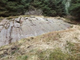 Click for full size image of Stronach Ridge Rock Art (PID:284240) Stronach Ridge Rock Art