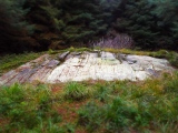 Click for full size image of Stronach Ridge Rock Art (PID:284244) Stronach Ridge Rock Art