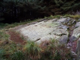 Click for full size image of Stronach Ridge Rock Art (PID:284242) Stronach Ridge Rock Art